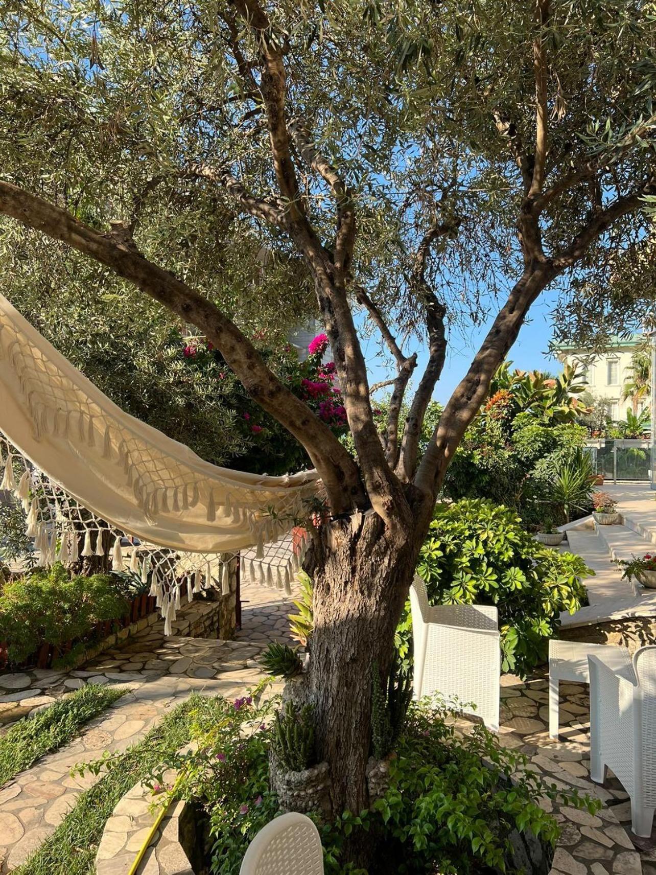 Hotel Orange Dhërmi Екстериор снимка